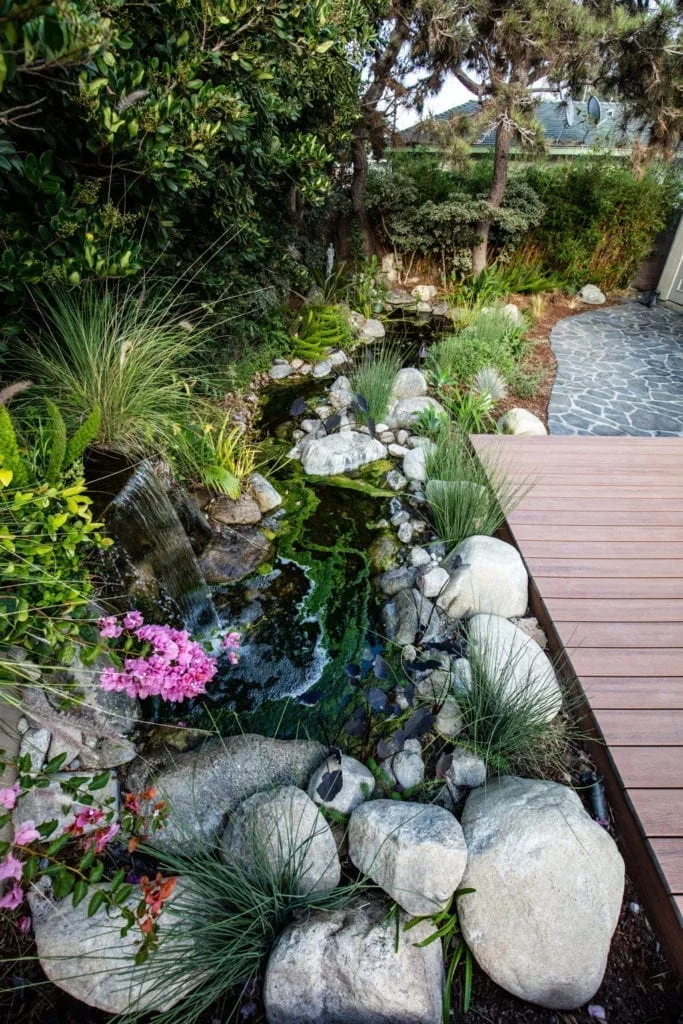 Zen garden