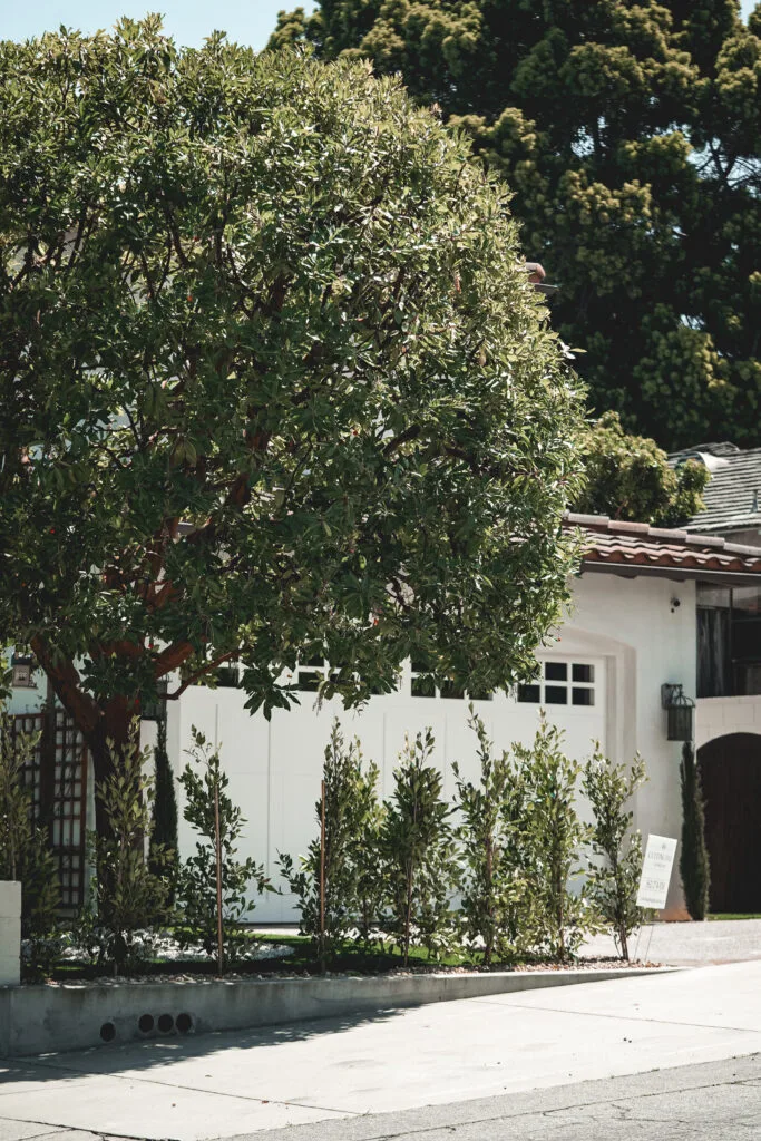 7th Street Front Yard Renovation